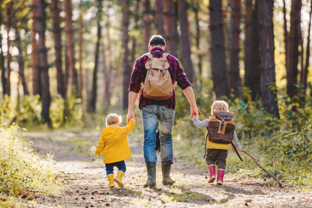 A rear view of father with toddler children walking in an autumn forest, holding hands.